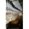 Overhead Conveyor Line dari jalur pengolahan burung